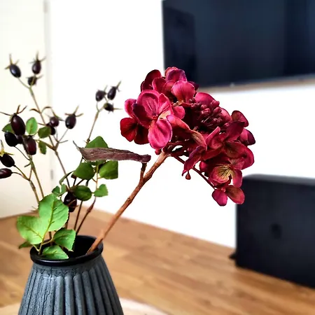 'bright 5' Wlan, 52 Qm Wohnung, Kueche, Innenstadt Schoetmar, 50 M Bis Schlosspark * Bad Salzuflen