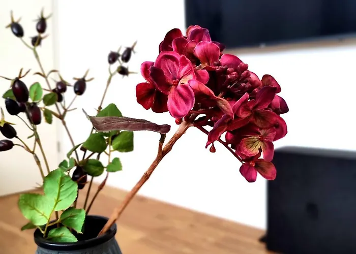 'bright 5' Wlan, 52 Qm Wohnung, Kueche, Innenstadt Schoetmar, 50 M Bis Schlosspark * Bad Salzuflen